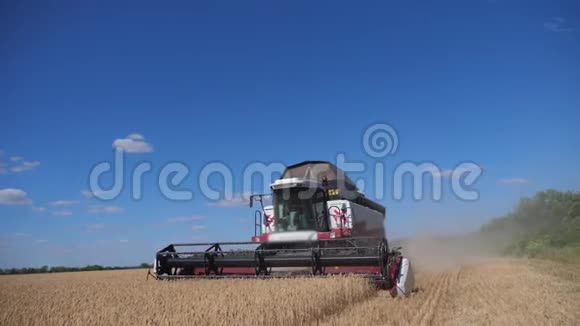 结合收割机的生活方式收割小麦慢动作视频农业收获概念田间的联合收割机视频的预览图