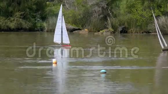 池塘中的遥控帆船视频的预览图