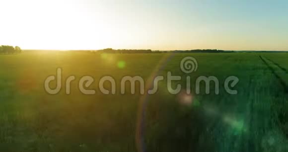 夏季阳光充足的夜晚低空飞行在乡村夏田之上有着无尽的黄色景观地平线上的太阳视频的预览图