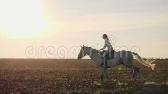 日落时分年轻的金发女孩骑着马在田野上视频的预览图