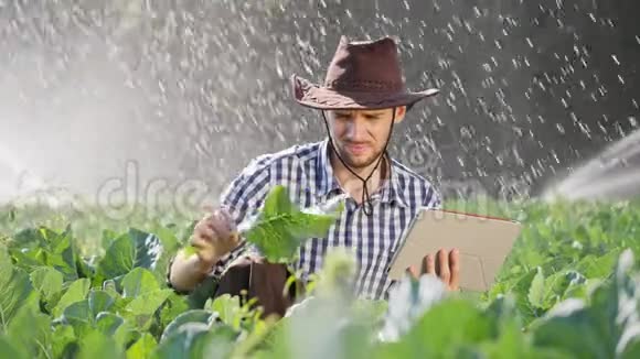 农民在监视他的种植园时使用数字平板电脑视频的预览图