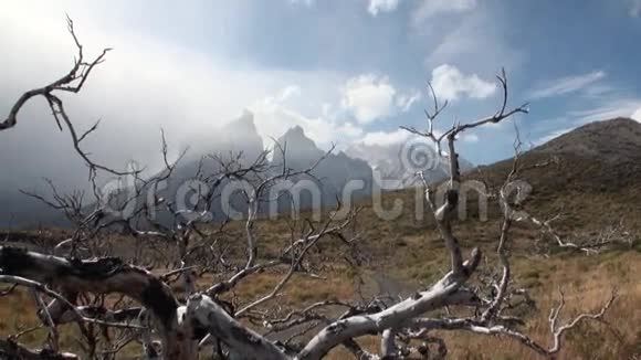 阿根廷的沙漠视频的预览图