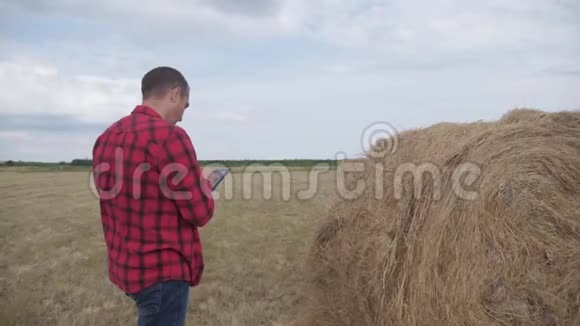 智慧农业理念农夫在数字平板电脑上的田野里研究干草堆慢速视频视频的预览图