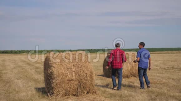 团队农业智慧农业理念两个生活方式的男人农民工人在田野上的草堆上散步视频的预览图