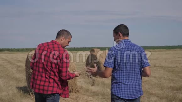 团队农业智慧农业理念两名农民工人在数字平板电脑上的干草堆上散步视频的预览图