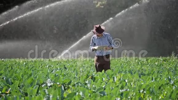 农民使用数字平板电脑监视他的种植园视频的预览图