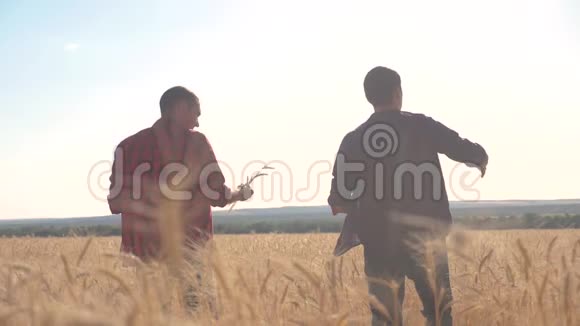 团队合作智能养殖慢动作视频两个农民在麦田工作农民探索正在研究生活方式男人视频的预览图