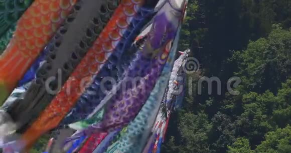 伊巴拉基的Ryujin大桥上的鲤鱼流光视频的预览图