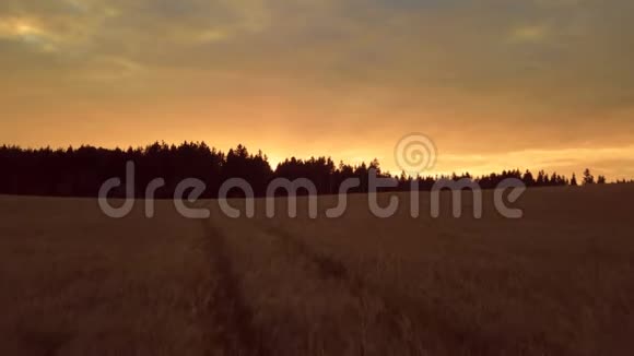 夏日夕阳西下的乡村景观视频的预览图