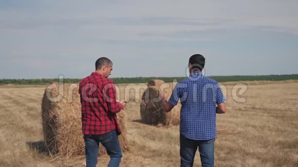 团队农业智慧农业理念两名男子农民在数字技术上行走在干草堆上视频的预览图