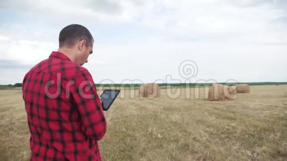 智慧农业理念一个农夫在一块数字平板电脑上的田野里研究干草堆生活方式慢动作视频的预览图