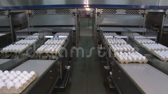 家禽饲养场的鸡蛋农场工业视频的预览图