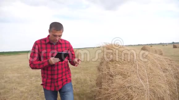智慧农业理念在数字平板电脑上研究干草堆生活方式的农夫慢动作视频的预览图