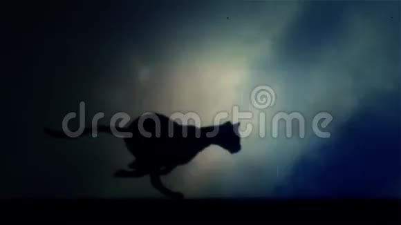 一只黑豹在黑夜的闪电风暴下奔跑视频的预览图