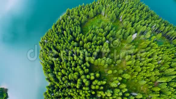 山湖有绿松石水和绿树水中的倒影美丽的夏季景观有山有森林视频的预览图