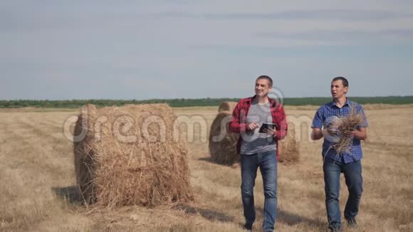 团队农业智慧农业理念两个男人的农民在数字技术上的田野上漫步在干草堆上视频的预览图