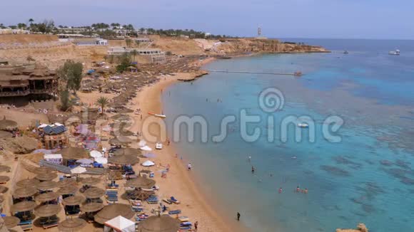 在靠近珊瑚礁的红海上的豪华酒店带雨伞和日光浴床的海滩埃及视频的预览图