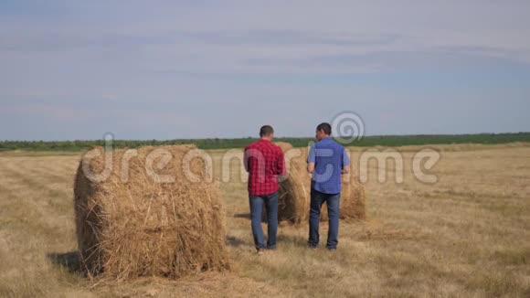 团队农业智慧农业理念两个男人的农民生活方式工人走在草地上研究干草堆视频的预览图