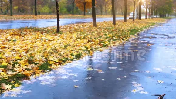 潮湿的天气秋天的小巷有黄色的红色叶子和寒冷的雨水视频的预览图