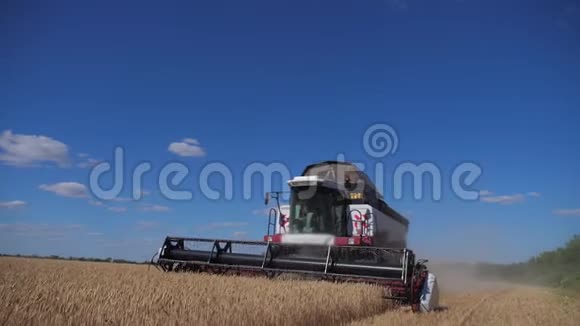 联合收割机割麦慢动作录像农业收获生活方式理念田间联合收割视频的预览图