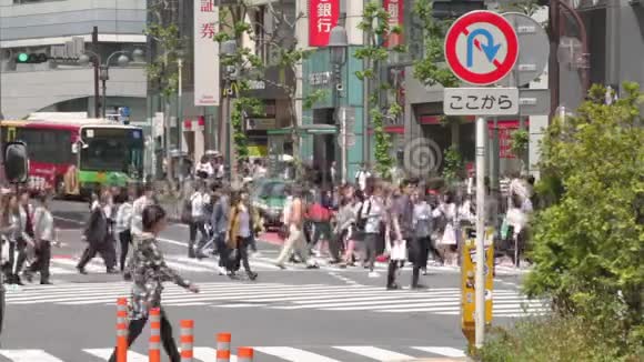 东京新宿商业城城街视频的预览图