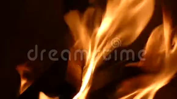 火灾背景火炉内炽热的火焰视频的预览图