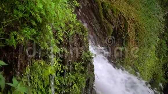 瀑布与绿色自然视频的预览图