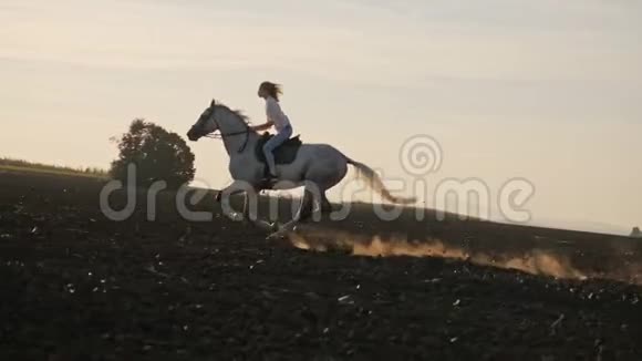 日落时分年轻的金发女孩骑着马在田野上视频的预览图