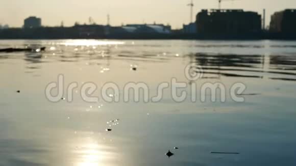 夕阳河流水太阳视频的预览图