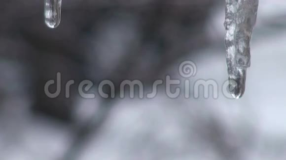 水滴从冰柱中落下春天的热视频的预览图