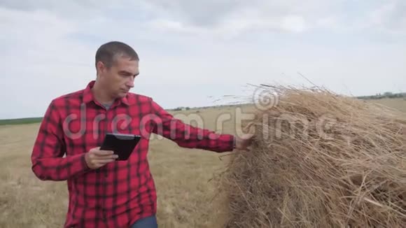 智慧农业理念一个农民在研究干草堆的生活方式一个领域的数字平板电脑慢动作视频的预览图