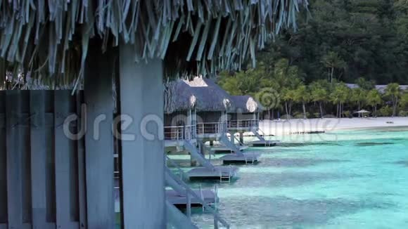 典型波利尼西亚景观棕榈海岸视频的预览图