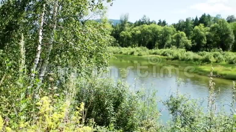 一个小森林湖风景如画西伯利亚视频的预览图