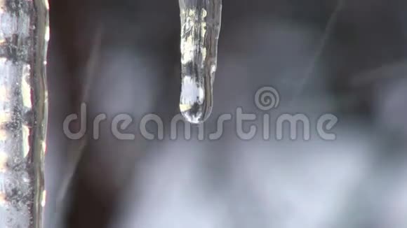 水滴从冰柱中落下春天的热视频的预览图