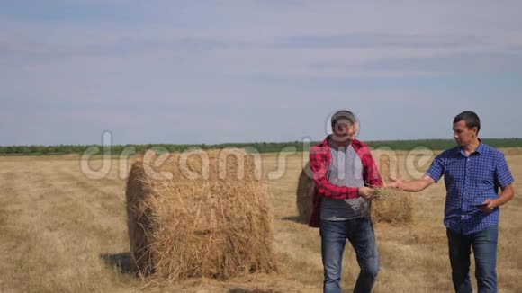 团队农业智慧农业理念两名农民工人在数字平板电脑上的干草堆上散步视频的预览图
