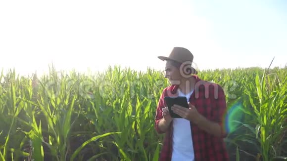 智慧农耕生活方式概念慢动作视频农学家手拿平板电脑触摸板电脑在玉米地是视频的预览图
