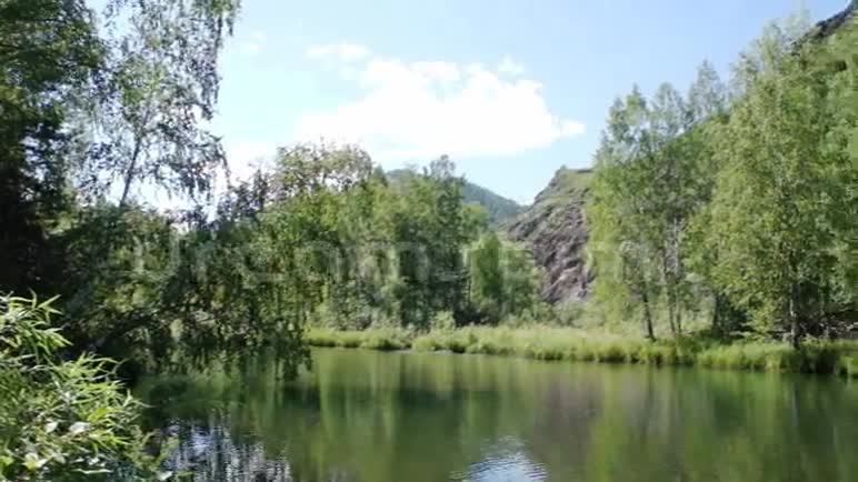 一个小森林湖风景如画西伯利亚视频的预览图