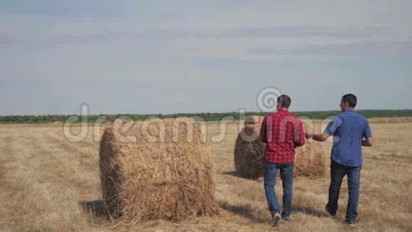 团队农业智慧农业理念两个男人的农民生活方式工人走在田野的草堆上视频的预览图