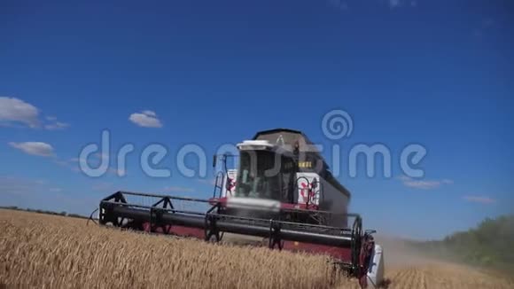 收割小麦的联合收割机慢动作视频农业收获概念结合田间收获生活方式视频的预览图