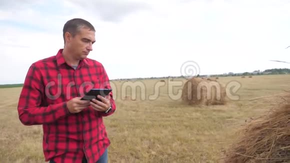 智慧农业理念一个农民在一个关于数字平板生活方式的田野里研究干草堆慢动作视频的预览图