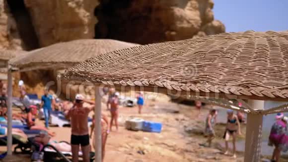 在红海的埃及带伞的海滩埃及落基海岸阳光度假村视频的预览图