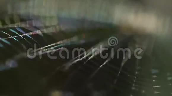 蜘蛛网的特写镜头视频的预览图