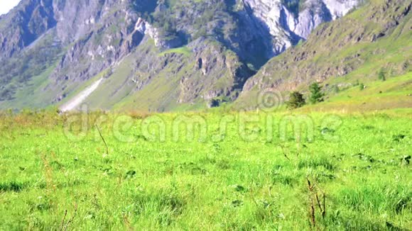 徒步旅行者带着背包在绿色的山地草地上行走夏季运动和娱乐理念视频的预览图