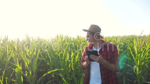 智慧农耕概念生活方式慢动作视频农学家手拿平板电脑触摸板电脑在玉米地是视频的预览图
