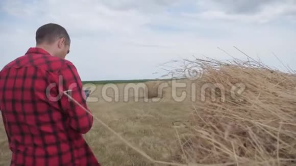 智慧农业理念一个农夫在数字平板电脑上的田野里研究干草堆慢动作录像男性视频的预览图
