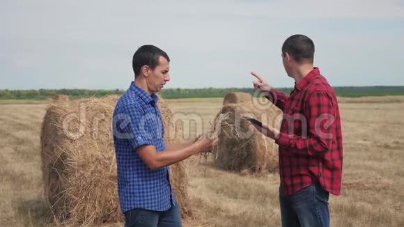 团队农业智慧农业理念两名男子农民工人在数字领域研究干草堆生活方式视频的预览图