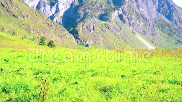 徒步旅行者带着背包在绿色的山地草地上行走夏季运动和娱乐理念视频的预览图