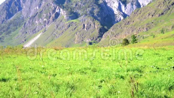 徒步旅行者带着背包在绿色的山地草地上行走夏季运动和娱乐理念视频的预览图