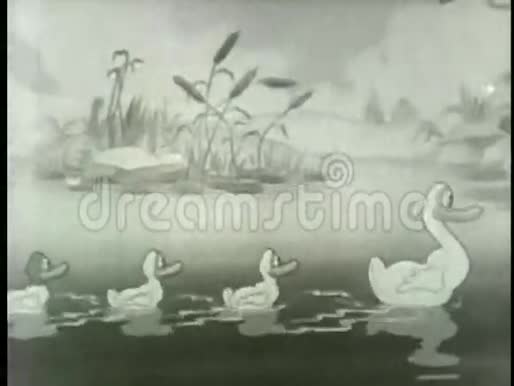 一家人在池塘游泳视频的预览图
