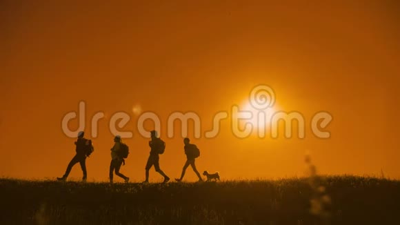 人们徒步旅行团和狗的轮廓阳光下的游客四个人走在夕阳的轮廓之上视频的预览图